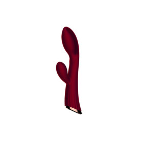 Vibromasseur rouge avec stimulateur de clitoris LRIS USB 